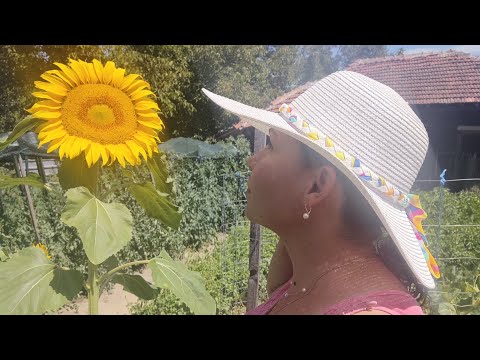 Видео: Моята приказка на село