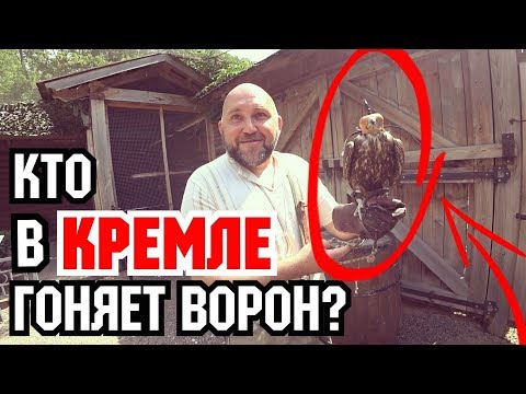 Видео: Главный сокольничий Москвы. Вместо урока истории.