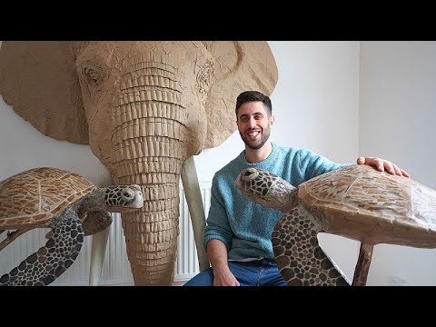 Видео: Познакомьтесь с художником, создающим из картона скульптуры исчезающих животных в натуральную вел...