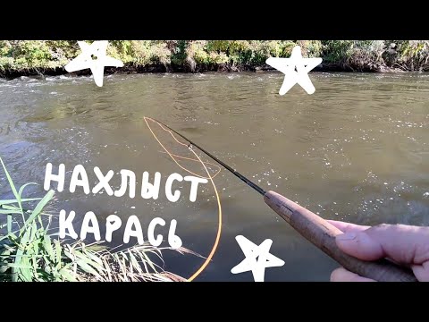 Видео: НАХЛЫСТ x  ОСЕННИЙ КАРАСЬ #69