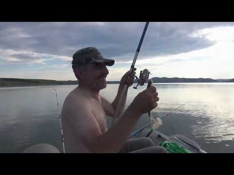 Видео: Узинский залив.