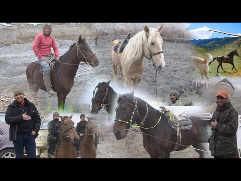 Видео: Бузкашии д (Кизилчар) Заринруд. ш Панчакент в Зарафшон. кисми 2