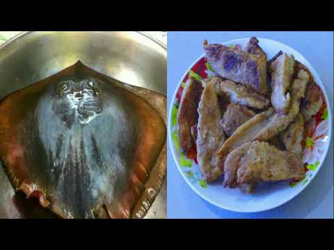 Видео: А вы пробовали жареного ската? Вкуснейшая морская рыба!