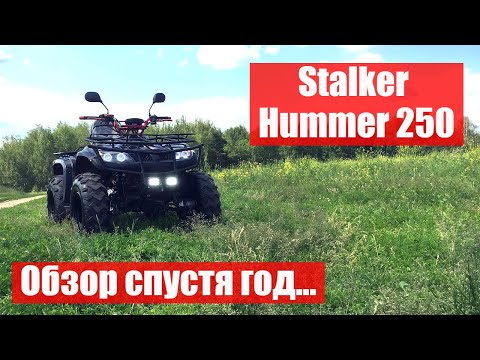 Видео: Квадроцикл Stalker Hummer 250. Обзор спустя год...