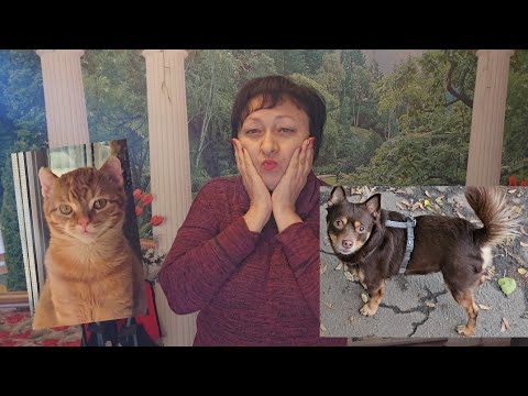 Видео: 💥СТАРАЕМСЯ ЖИТЬ‼️ХОТЯ и не легко🔥30.10.25