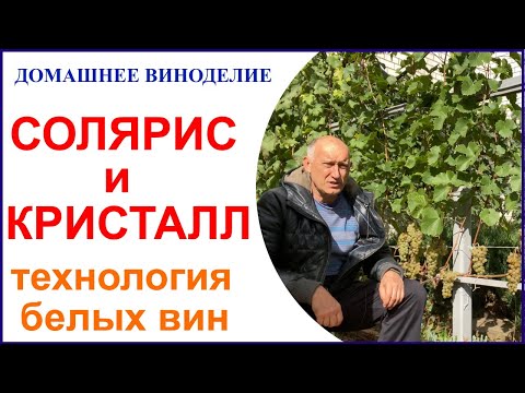 Видео: Гаражное виноделие. Солярис и Кристалл золотая пара для белых вин в Подмосковье. Основы технологии.