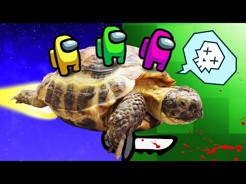 Видео: Попали в Компьютерную игру в РЕАЛЬНОЙ ЖИЗНИ! - Кузя и Свинка Бузя Челлендж