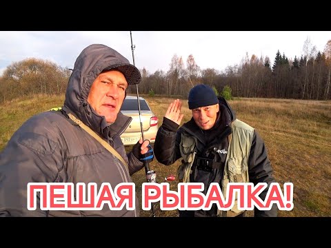 Видео: Спиннинг с берега// Малые реки Смоленщины🎣