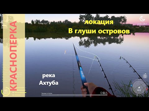 Видео: Русская рыбалка 4 - река Ахтуба - Красноперка перед ямой