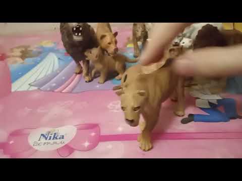 Видео: обзор на Мой прайд Львов.