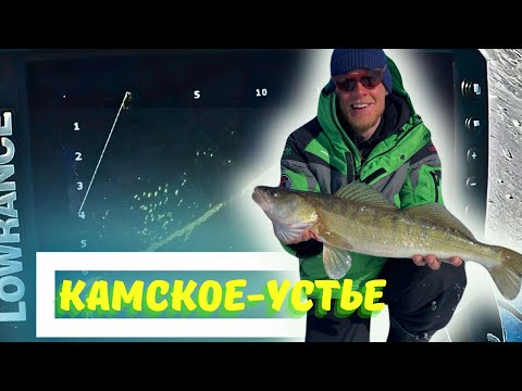 Видео: Судак на Каме зимой | Камское устье зимняя рыбалка 2024 | Ловля судака на вибы.