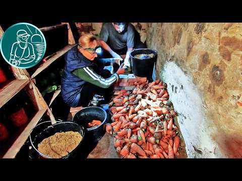 Видео: Как хранить морковь при хранении по технологии Гордеевых в песке в кирпичах в погребе