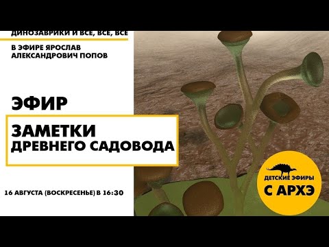 Видео: Детский эфир "Заметки древнего садовода" в рамках рубрики "Динозаврики и все, все, все"