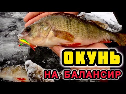 Видео: Ловля окуня на балансир. Зимняя рыбалка на окуня
