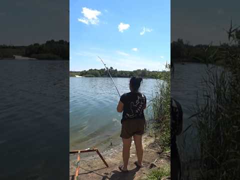 Видео: Гарнюній..!!! 🐟  #рибалка #карась #fishing #риболовля