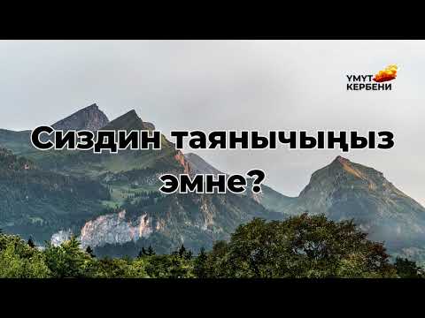 Видео: Сиздин таянычыңыз эмне?