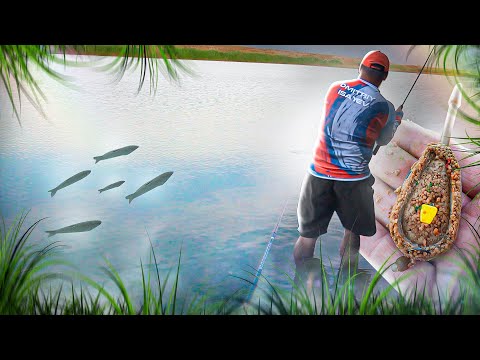 Видео: РЫБАЛКА МЕЧТЫ !!! КАРПЫ НА ФЛЭТ В КАРЬЕРЕ !!! РЫБА УТАСКИВАЕТ УДИЛИЩА!!!