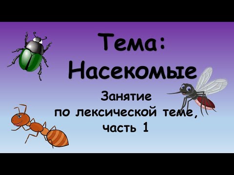 Видео: Насекомые (занятие по лексической теме, часть 1)