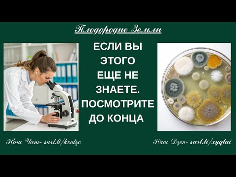 Видео: Хищные микробы  -  это защитники растений от патогенов № 834/25