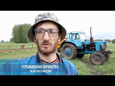 Видео: №28 Гербицидная обработка. Обзор всех посевов