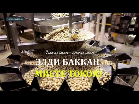 Видео: Элди баккан мисте токой