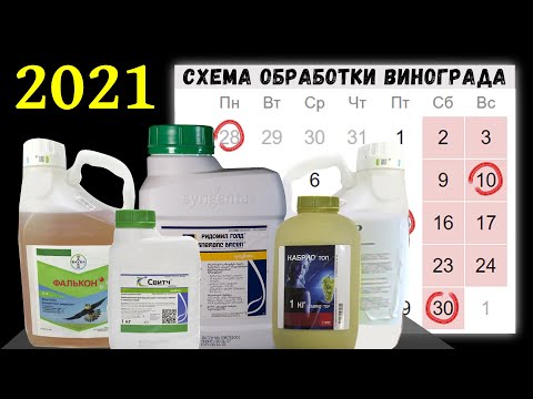 Видео: Схема обработки винограда!