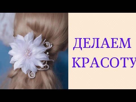 Видео: Астры для первого класса!