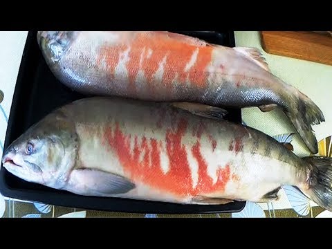 Видео: Лосось холодного копчения, готовим по моему авторскому рецепту