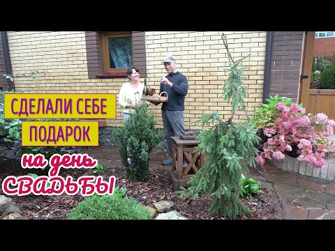 Видео: ПЕРЕДЕЛКА ЦВЕТНИКА через 12 лет! Новые растения и современный дизайн. Хосты и лапчатку - НА ВЫХОД!