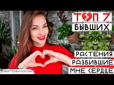 Видео: Мои БЫВШИЕ 💔 Эти РАСТЕНИЯ разбили мне сердце. Кто не выжил и как это произошло.