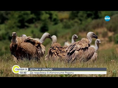 Видео: „Дотам и обратно”: Да подивееш в Източните Родопи - Събуди се...(08.12.2024)
