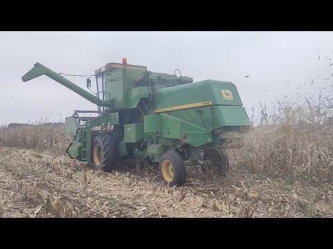 Видео: 🌽 Збір кукурудзи 2025 — техніка працює на повну 💪🚜