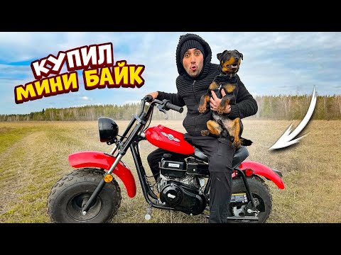 Видео: Купил мини байк внедорожник. Поехал ставить кленовый сок