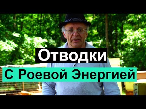 Видео: Пасека # 74 Отводки с Роевой Энергией | Пчеловодство для начинающих -