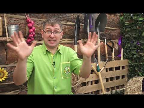 Видео: Консультант Cадовода на Усадьбе №"12