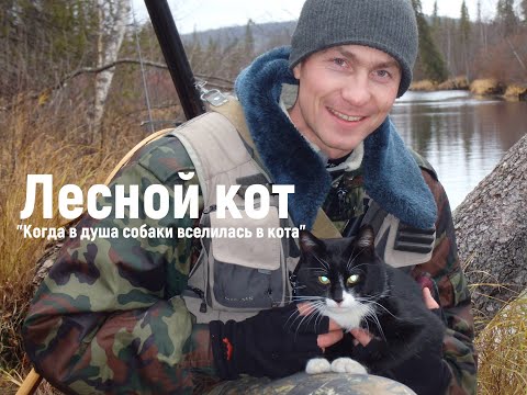 Видео: Первое видео на YouTube. Лесной кот