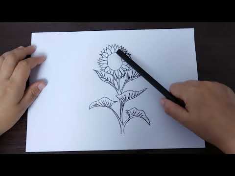 Видео: АСМР рисую подсолнух🌻 Истории из жизни. Видео и звуки для сна. Поболтаем перед сном. Шепот. Мурашки.