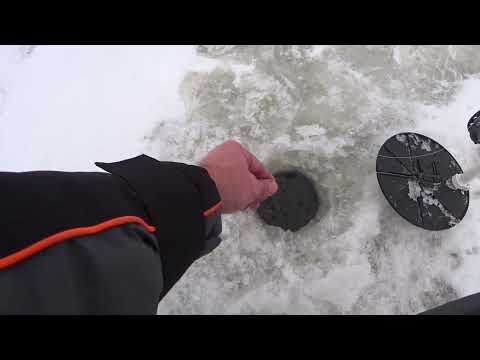 Видео: Щука на жерлицы! Бешеный клёв щуки. Рыбалка 2023-2024.