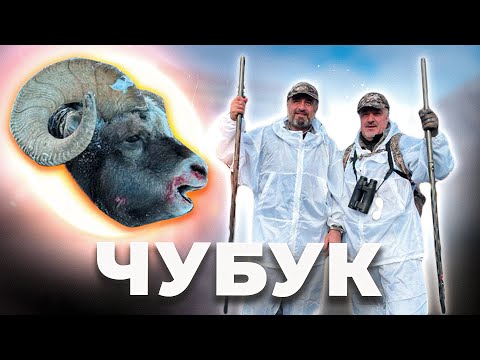 Видео: Фильм "Чубук". Якутия 2023