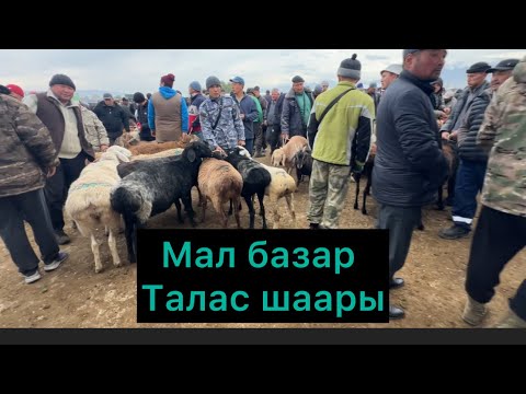 Видео: Мал базар Талас шаары