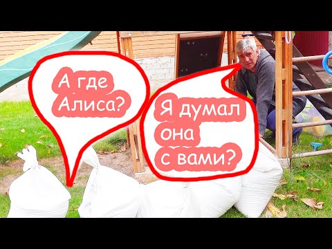 Видео: VLOG Не заметили куда пропала Алиса