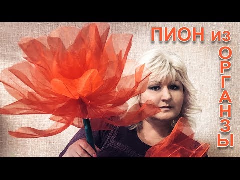 Видео: Большие цветы из органзы/как сделать пион из органзы/Мастер красс от Маркиной Елены