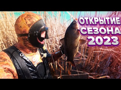Видео: ПОДВОДНАЯ ОХОТА ВЕСЕННИЕ САЗАНЫ 2023 года