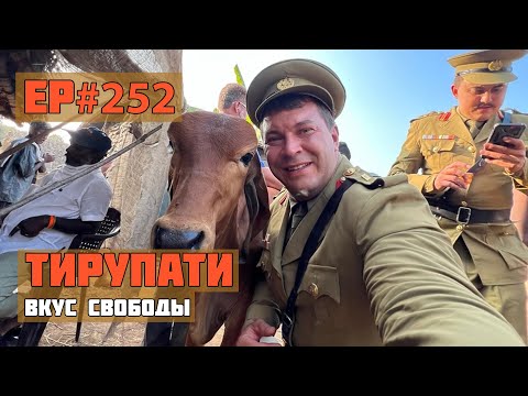 Видео: 252. Новые съемки в Булливуде!