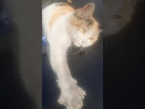 Видео: Как всем разослали приглашения 