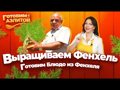 Видео: Фенхель – Посев, Выращивание, Сбор Урожая. Готовим Блюдо из Фенхеля