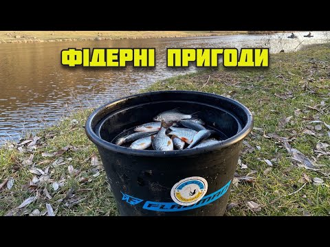Видео: Ловимо на ФІДЕР зимою. Чудова плітка в мальовничому місці Вінниччини