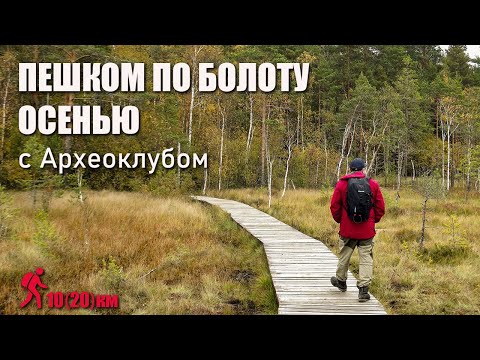 Видео: Сестрорецкое болото осенью. Поход клуба, октябрь 2024