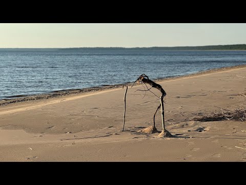 Видео: Загубье - Лукина Изба