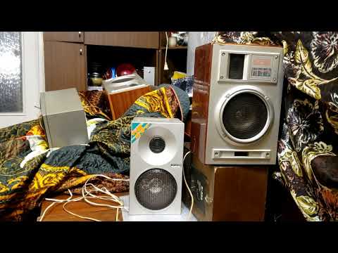 Видео: вечер вторника